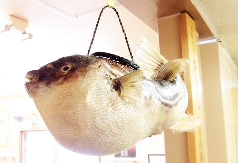 店内写真6|まぐろ・ふぐ満海